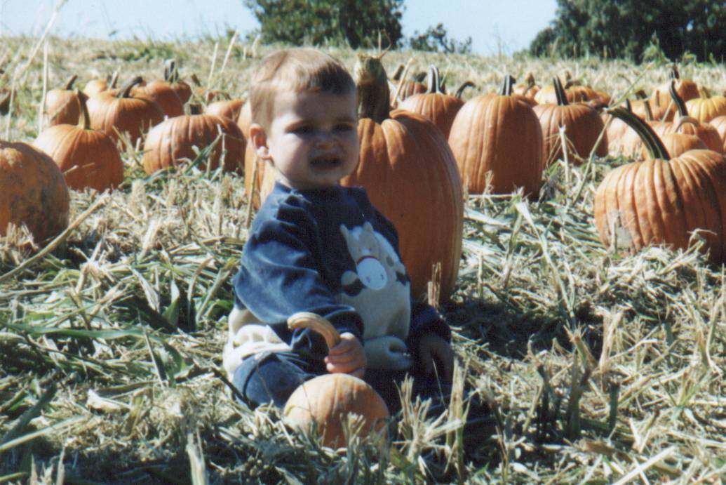 OlivePumpkin2