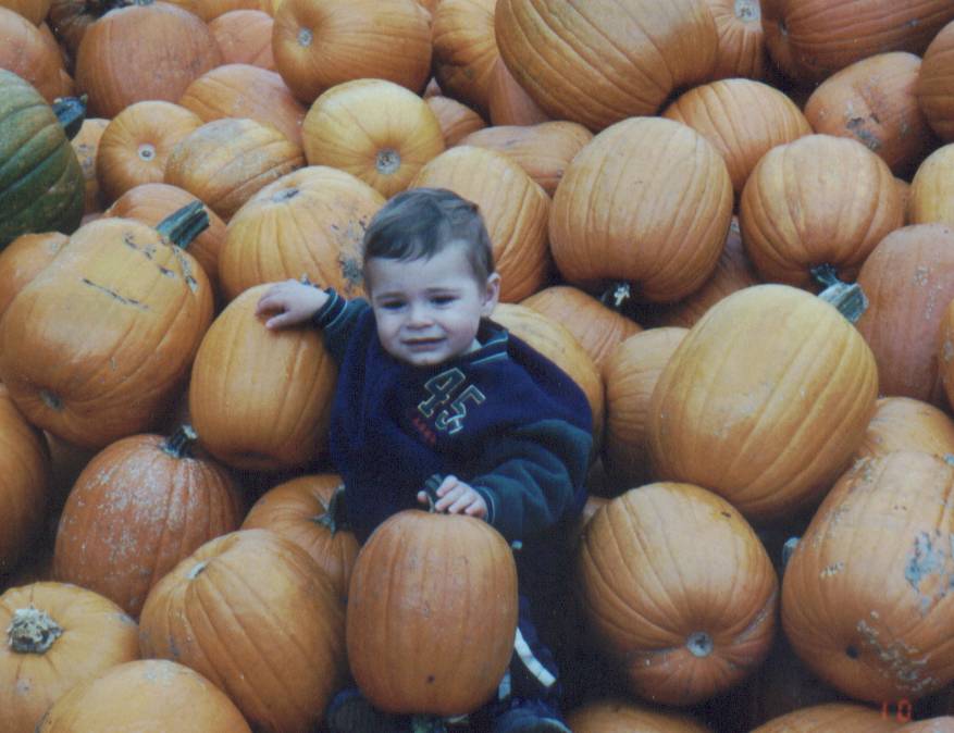 PumpkinPatch